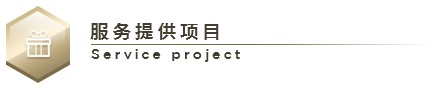 new服務提供項目