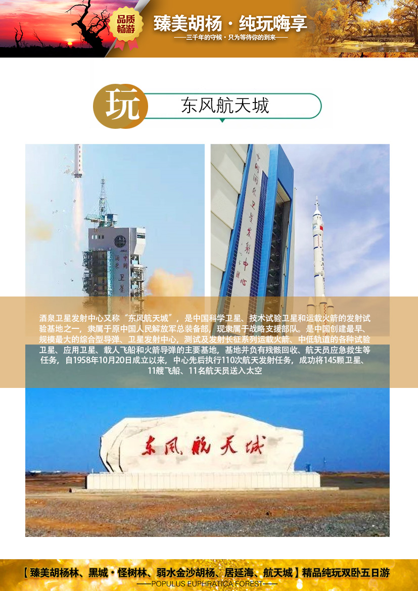 臻美胡楊-2023_09