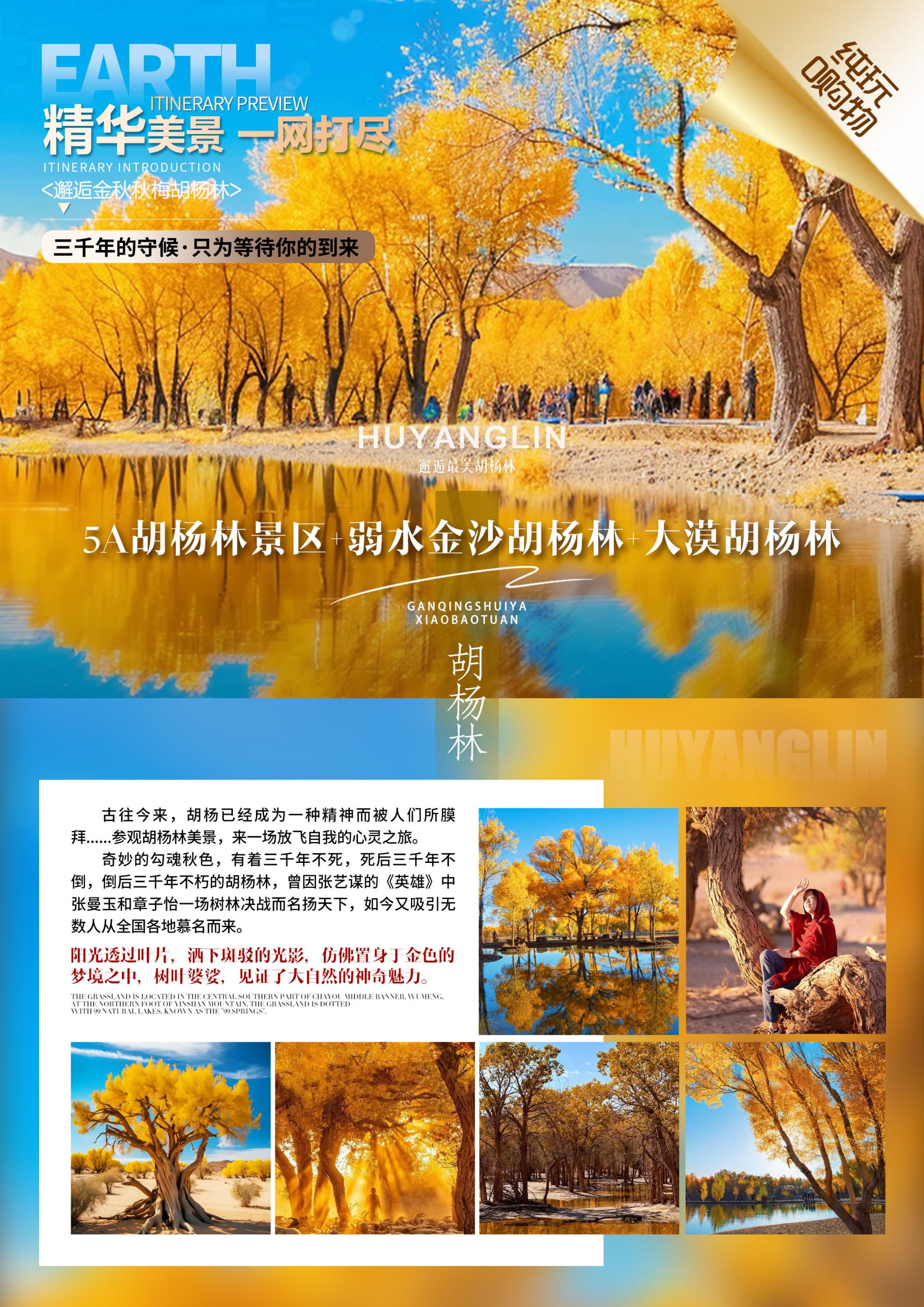 胡楊林景區