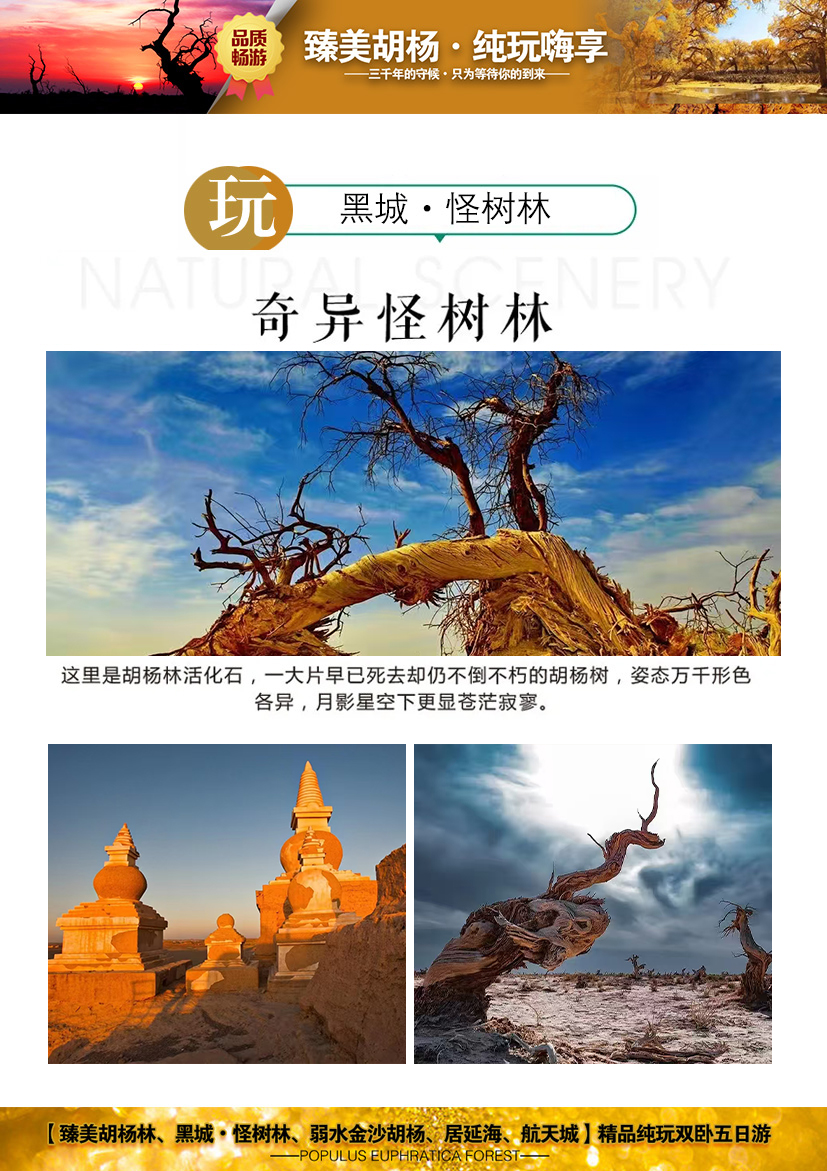 c:/users/administrator/desktop/臻美胡楊林3.jpg臻美胡楊林3