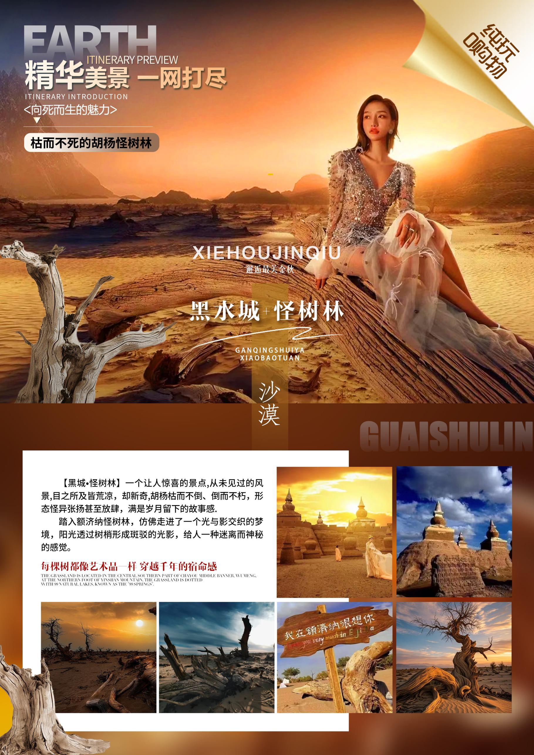 八道橋沙海王國+怪樹林
