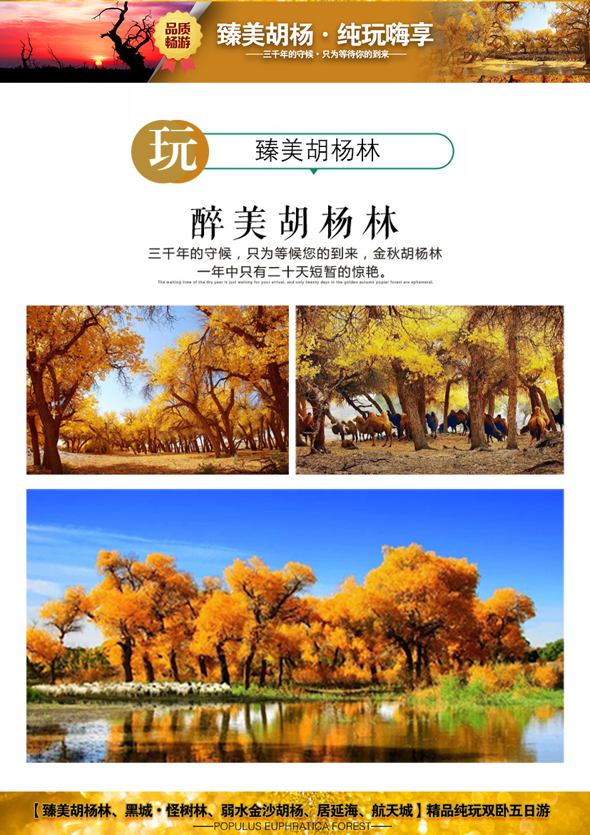 C:/Users/Administrator/Desktop/臻美胡楊林4.jpg臻美胡楊林4