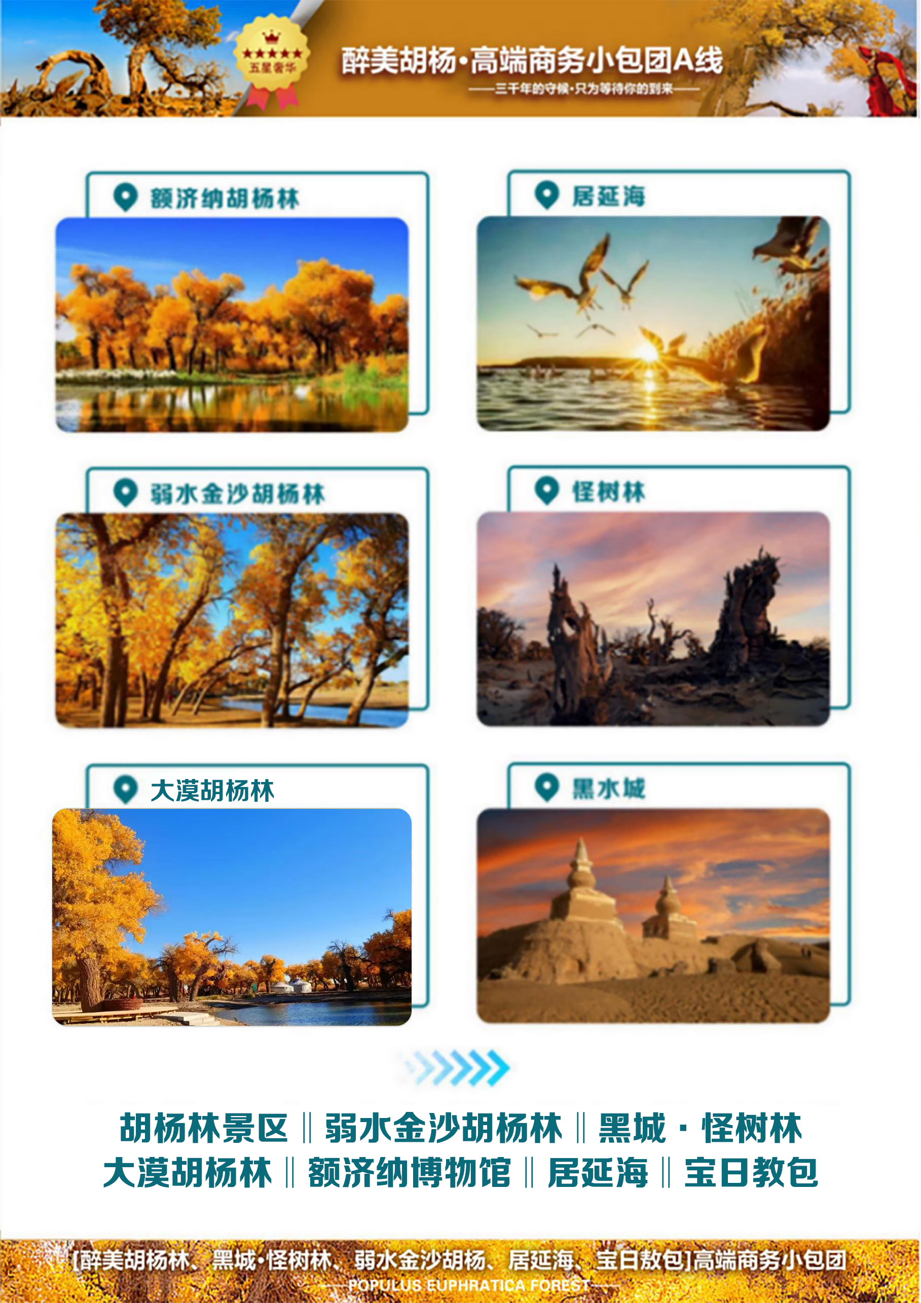 C:/Users/Administrator/Desktop/醉美胡楊林3.jpg醉美胡楊林3